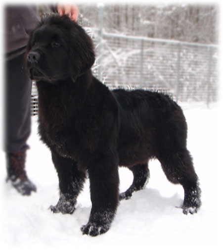 Malin 6 months