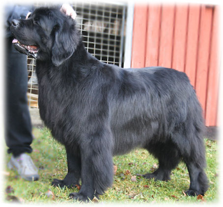 Philip 4 år