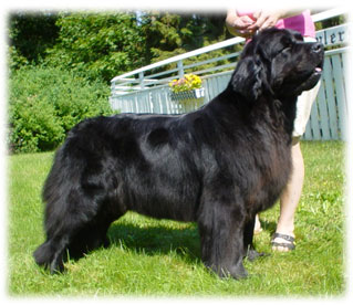 Smila 3 ½ år
