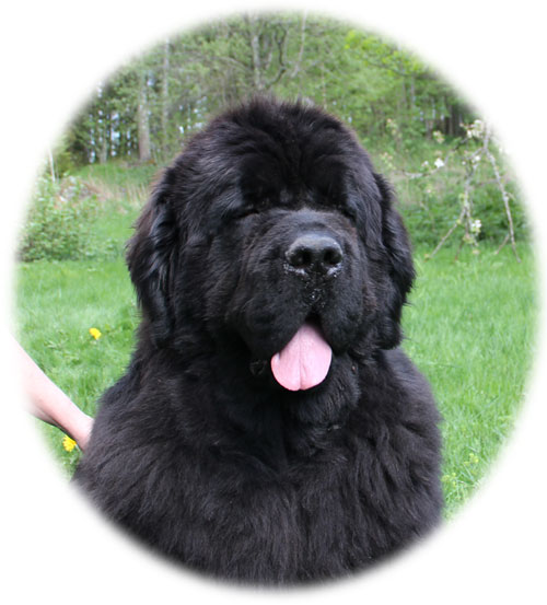 Xavi 3 years